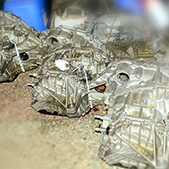 АКПП Сервис Пятигорск